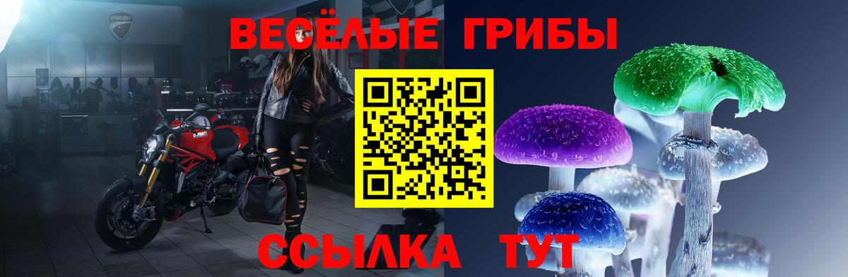 Междуреченск  Псилоцибиновые грибы Magic Shrooms  Галлюциногенные грибы мухоморы  Вход с VPN 