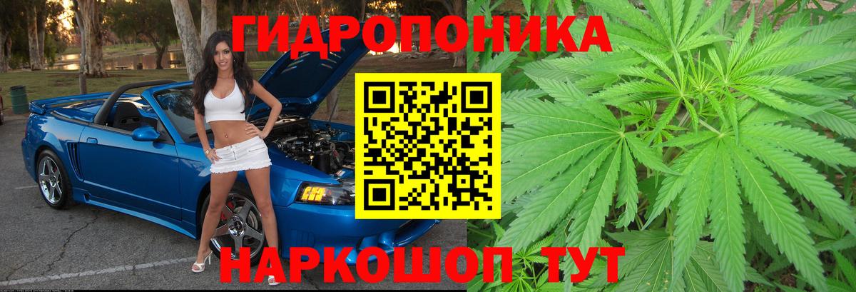 Бошки Шишки индика  Канабис SATIVA & INDICA  Вход с VPN  Междуреченск 